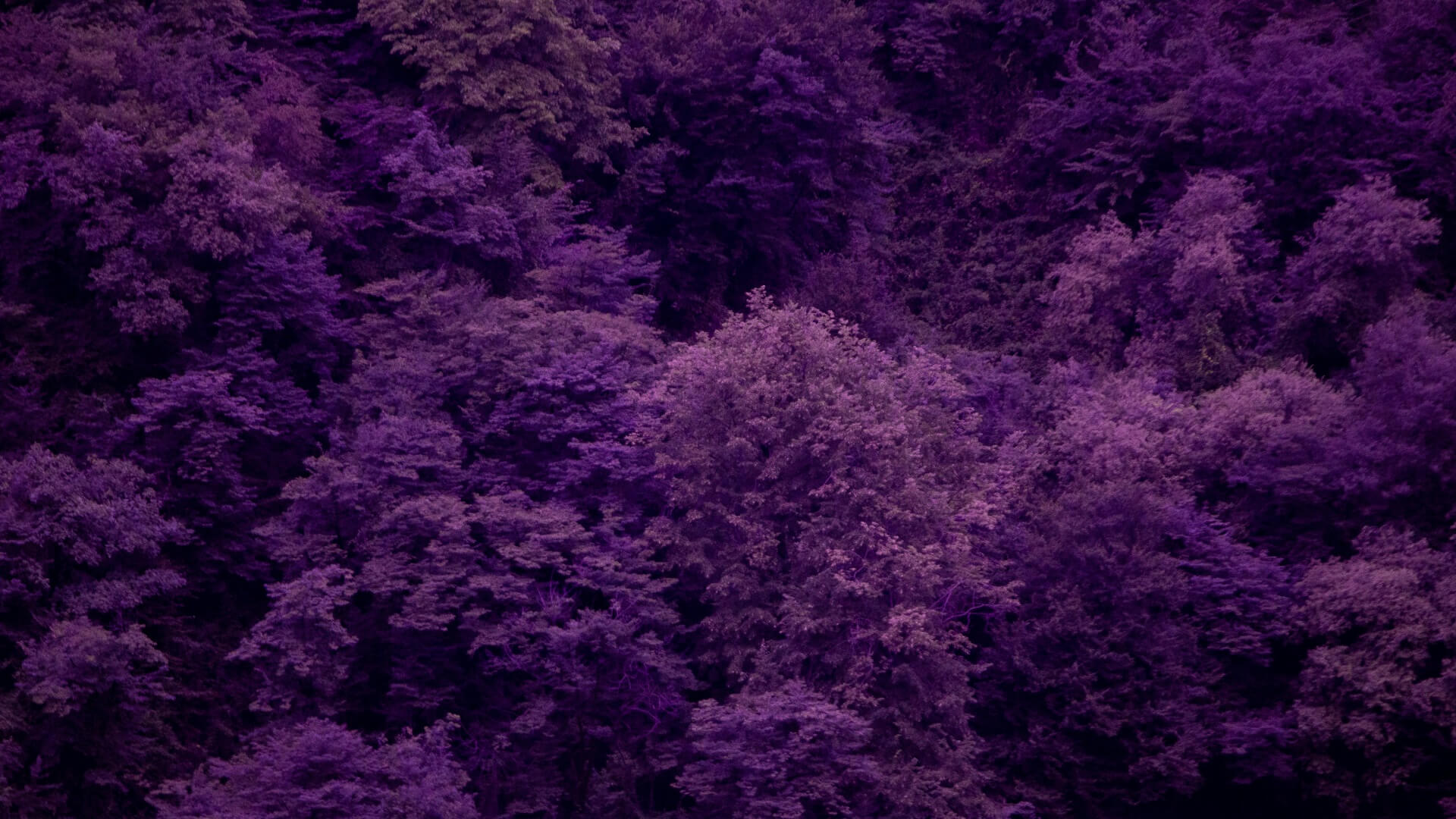 Salon Background